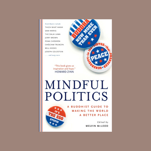 Mindful Politics