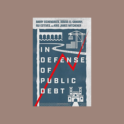 In the Defence of Public Debt